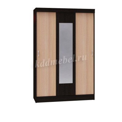 Шкаф-купе Бася (Венге/Дуб молочный)