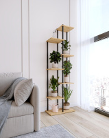 ПДФ Шафран_17_чер