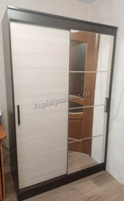 Шкаф-купе Элегант-4 (Дуб венге/Сосна лоредо)