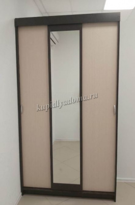 Шкаф-купе Бася (Венге/Дуб молочный)