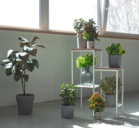 Парма БЕЛ_4.1